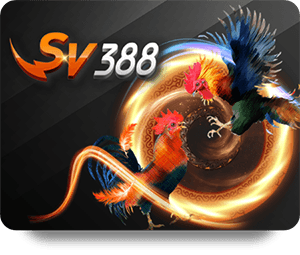 Rio66 Chính Thức 247: Nơi Gặp Gỡ Của Những Người Yêu Thể Thao